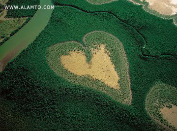قلب های زیبا و طبیعی بر روی کره زمین ! عکس