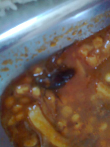 سوسک پخته شده در غذای دانشگاه!! (+عکس)