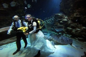 مراسم عروسی جالب در زیر دریا + تصاویر