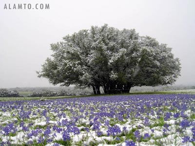 10 ایده تحقیقاتی که زندگی را متحول می کنند