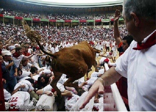 عکس های جالب و دیدنی از مسابقات گاو بازی در اسپانیا